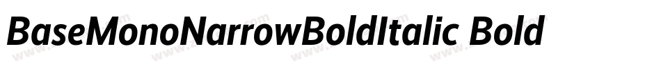 BaseMonoNarrowBoldItalic Bold Italic字体转换